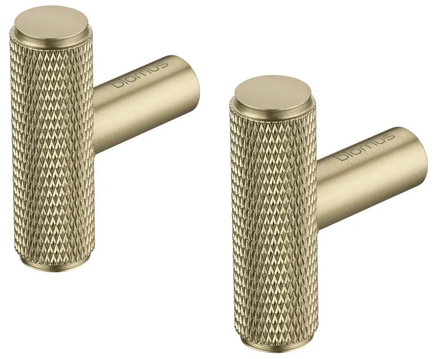 Sárgaréz színű fali fém akasztó szett 2 db-os Rof – Blomus