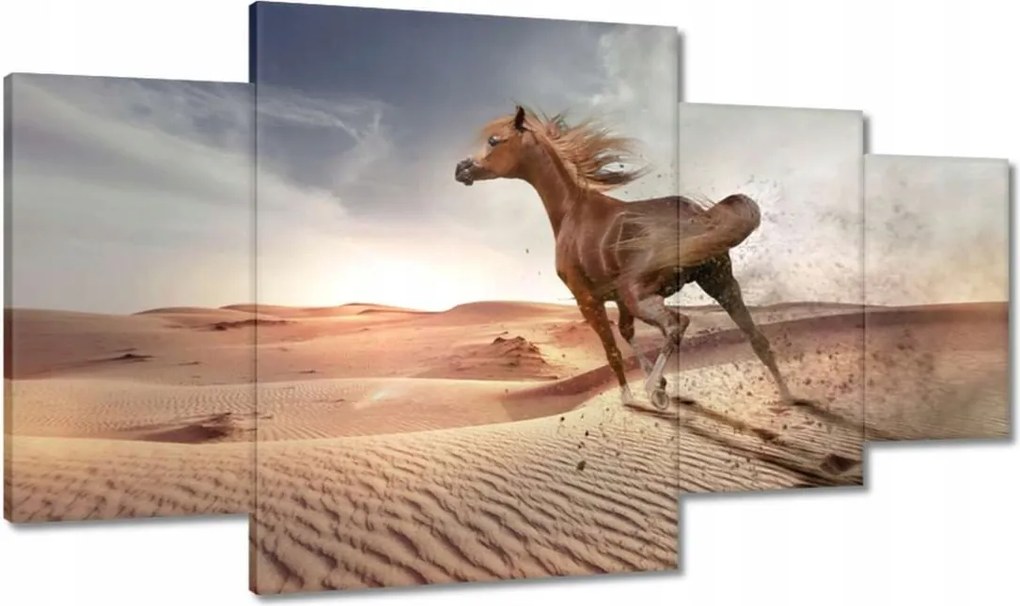 Képek 160x90 Galoppozó ló