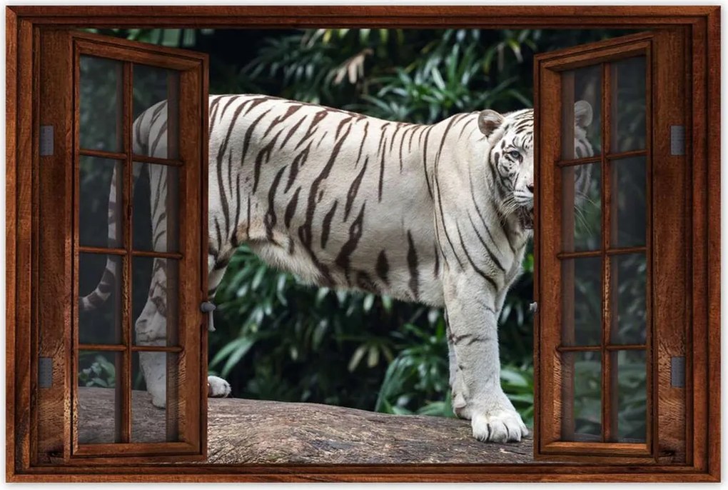 Poszterek 90x60 Fehér tigris Nagy macska