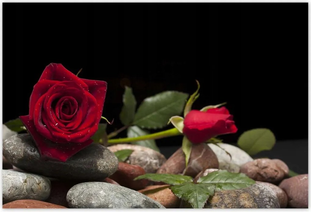 Poszterek 185x125 Spa Wellness Relaxáció Víz