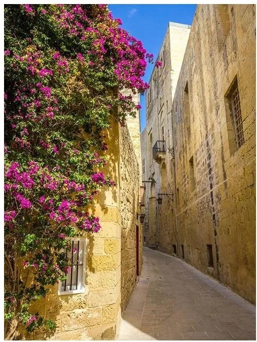 3D fotótapéta utca város fotótapéta 184 x 254