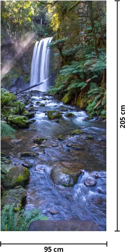 Fotótapéta ajtóra - Ausztrál esőerdő (95x205cm)