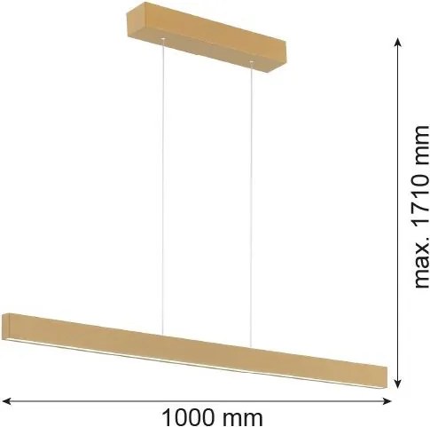 ARGON 8306 BALANS Modern Led Függesztett Lámpa Arany LED IP20
