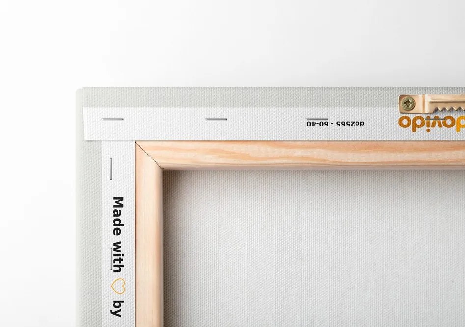 Kép minimalista tűlevelű fa
