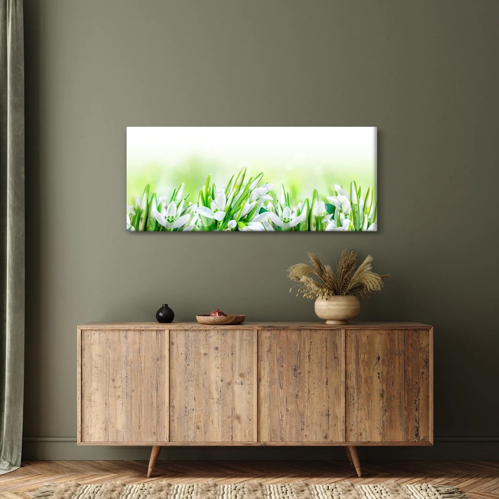 Kép - Hóvirág (120x50 cm)
