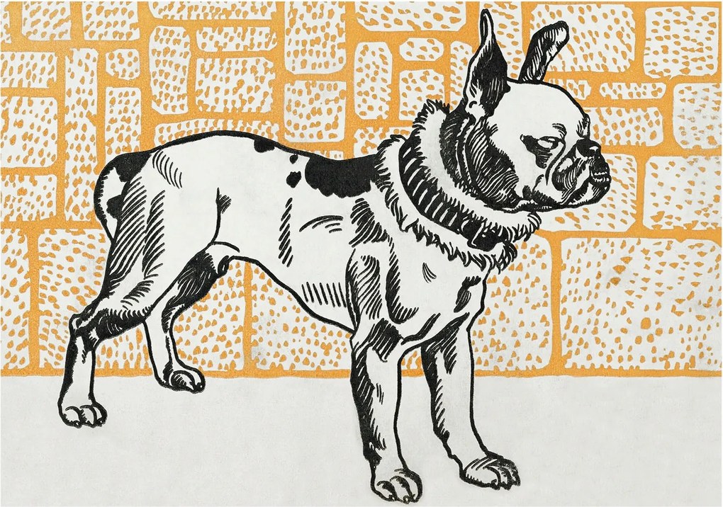 Fotótapéta Flizelina Nappali és Hálószoba Kutya retro 208x146 Ragasztó