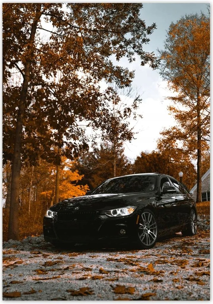 Poszterek 70x100 Fekete Bmw Ősz