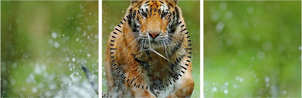 Kép - Futó tigris (órával) (90x30 cm)
