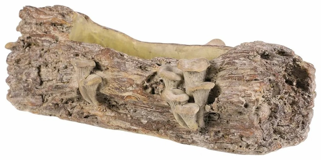 Beton burkolat - virágládika, fa gombákkal, 41 x19 x 13 cm, barna