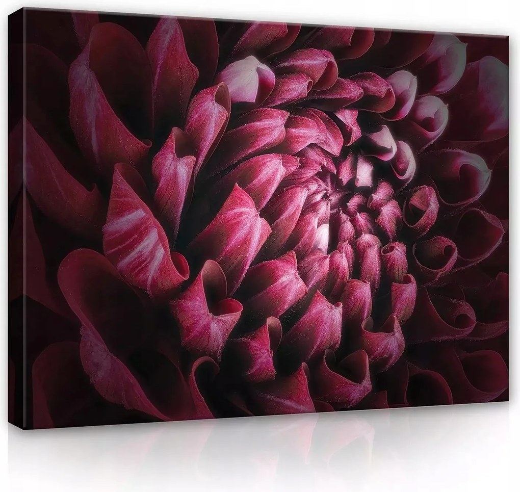 Vászonkép falikép bordó fekete virág 100 x 75