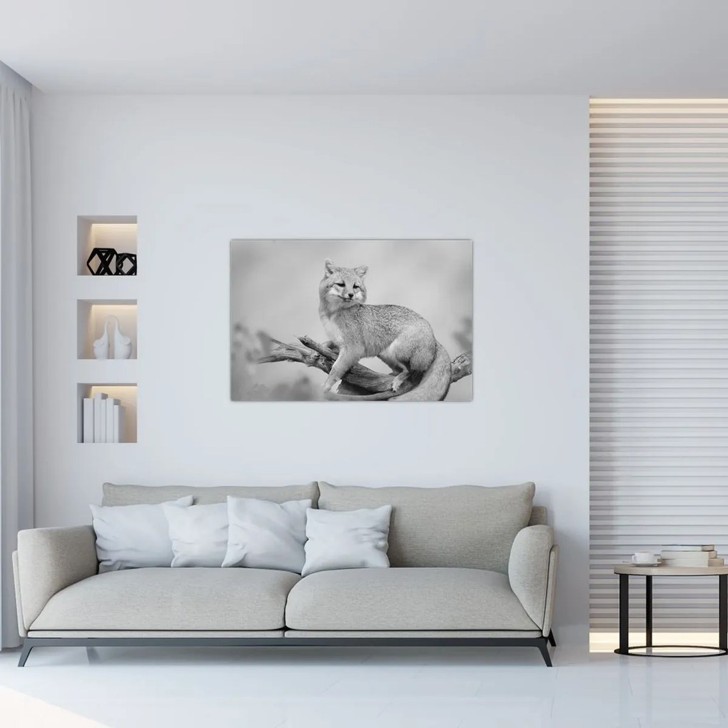 Kép - Szürke róka (90x60 cm)