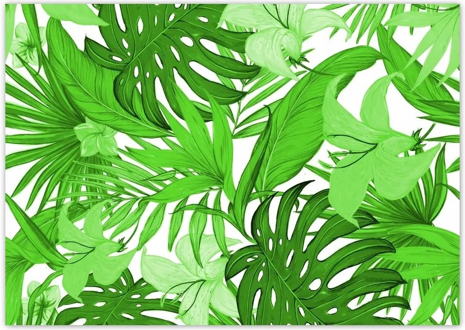 Poszterek A0 Szint Leaves Monstera New look