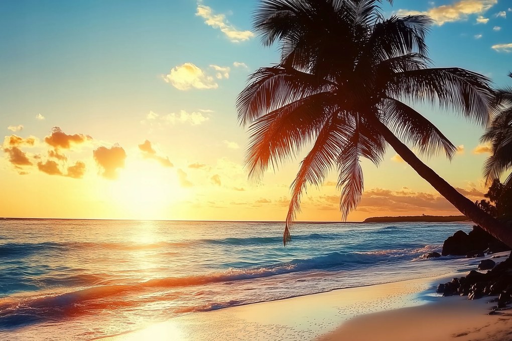 Fotótapéta Flizelina Tájkép Tengerpart Óceán Pálma Napnyugta 312x219 ragasztó