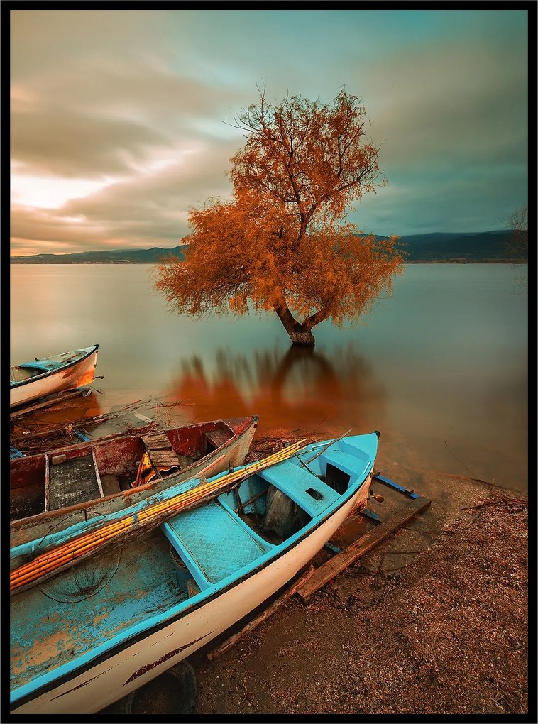 Poszter tó táj csónak víz fa 21x30