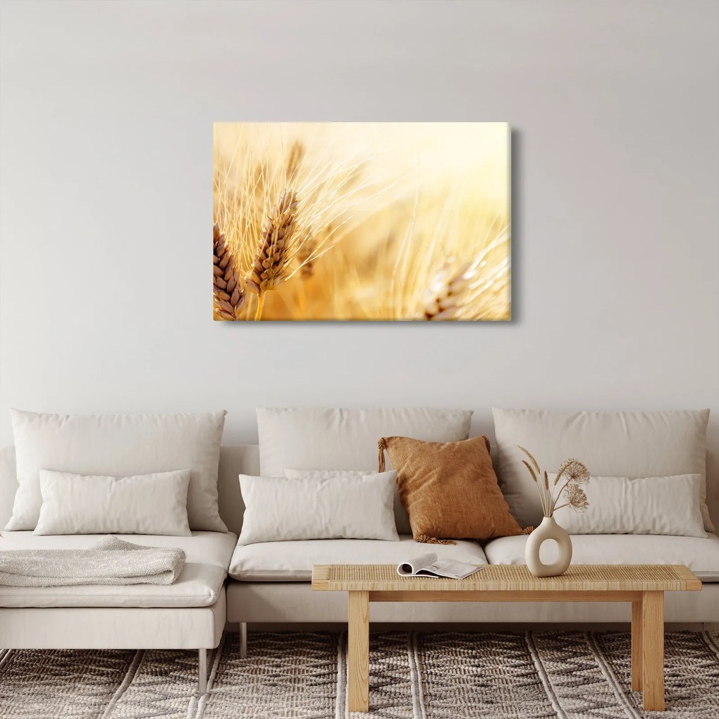 Kép - részlet gabona (90x60 cm)