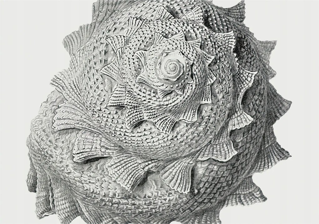 Divatos Flizelin tapéta 3D fali ragasztóval A természet művészete 208x146 Ragasztó