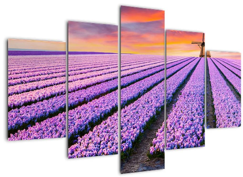 Kép - virágfarm (150x105 cm)
