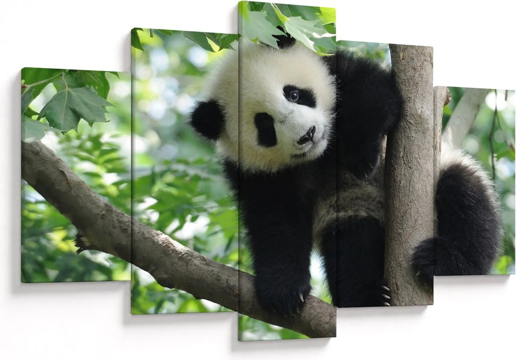 Kép - Panda a fán (150x105 cm)