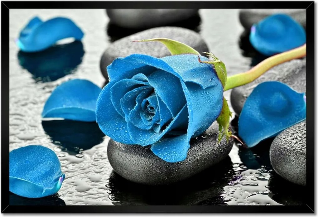 Poszterek keretben 60x40 Kék rózsa kövek