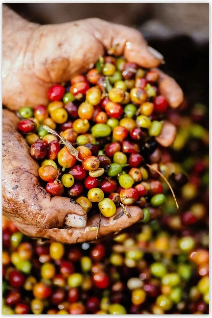 Poszterek 80x120 Kávé szett Kávé