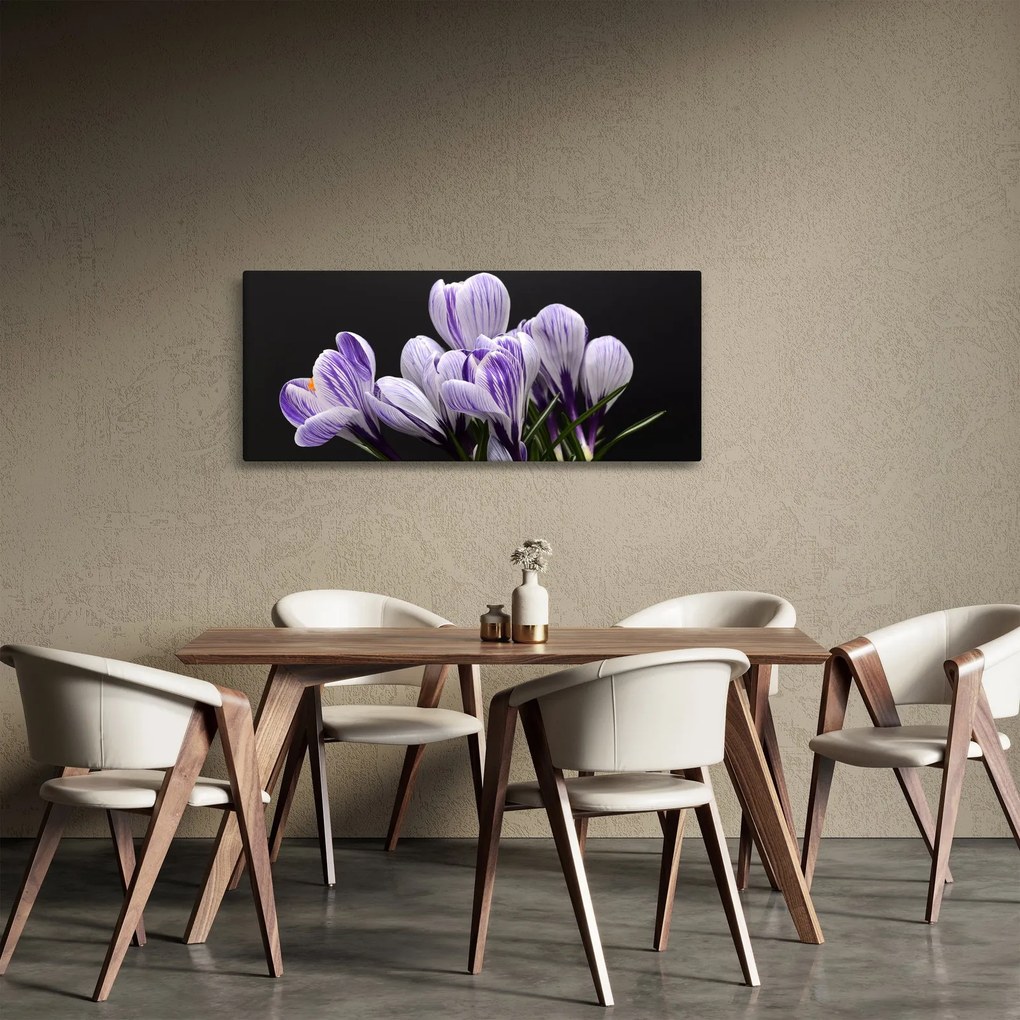 Kép - Lila krókuszok (120x50 cm)