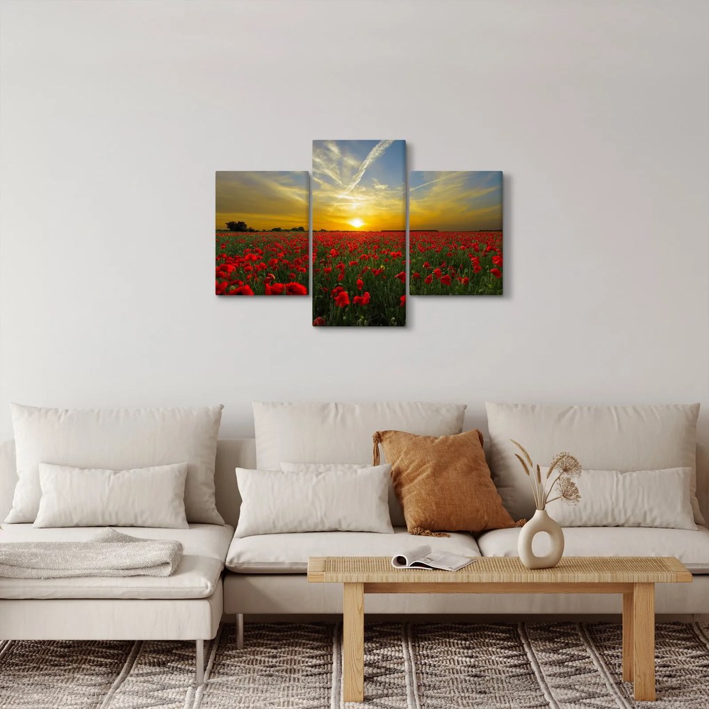 Egy kép a pipacs mezőről (90x60 cm)
