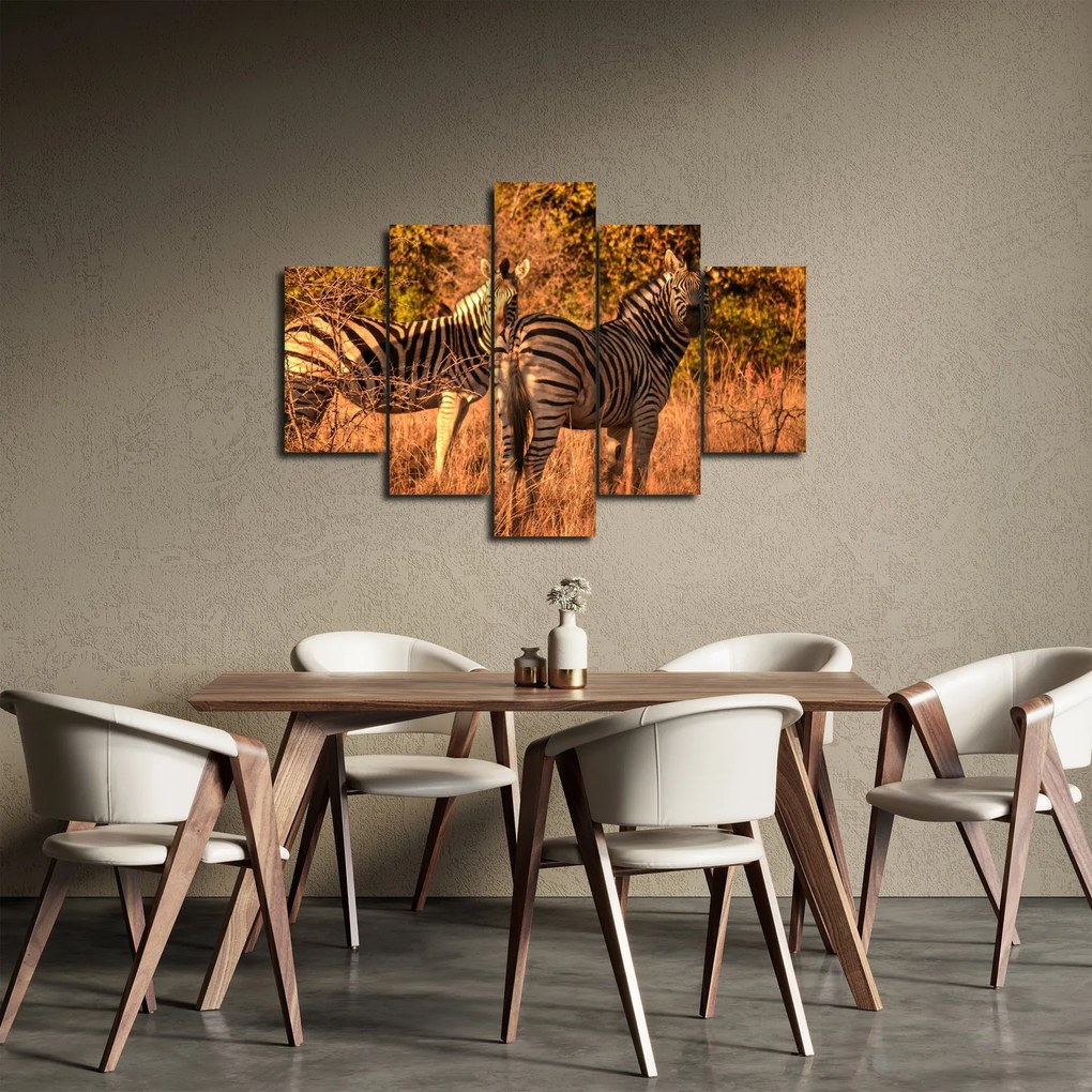 Zebrák képe (150x105 cm)