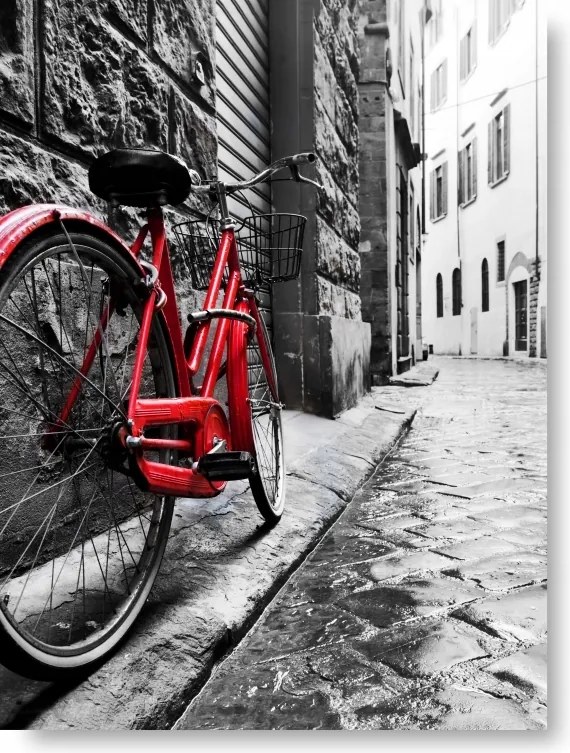 Kerékpár Fekete-fehér poszter B2 50x70cm kép #190