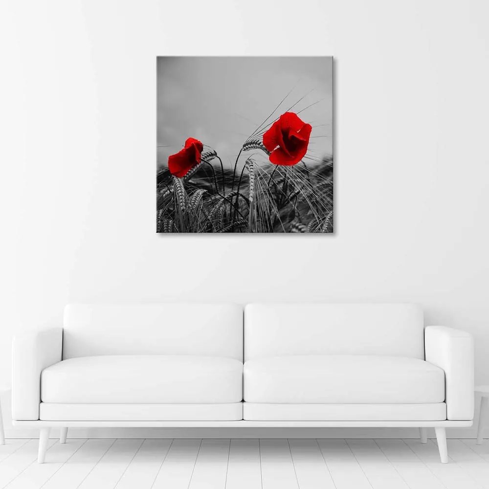 Gario Vászonkép Vörös pipacsok és gabona Méret: 40 x 40 cm