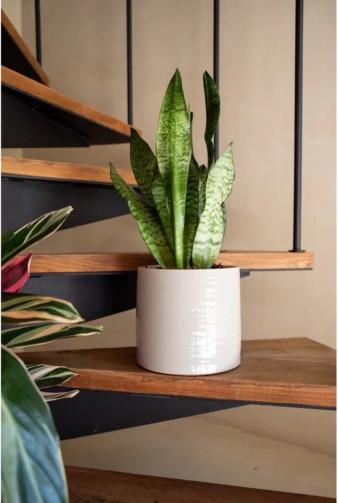 Kerámia kézzel készített kaspó ø 18 cm Fortuna – Artevasi