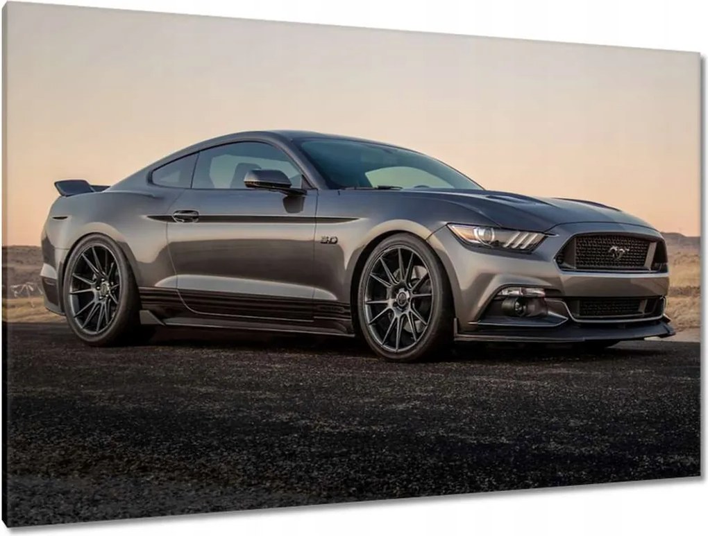 Képek 120x80 Ford Mustang made in Usa