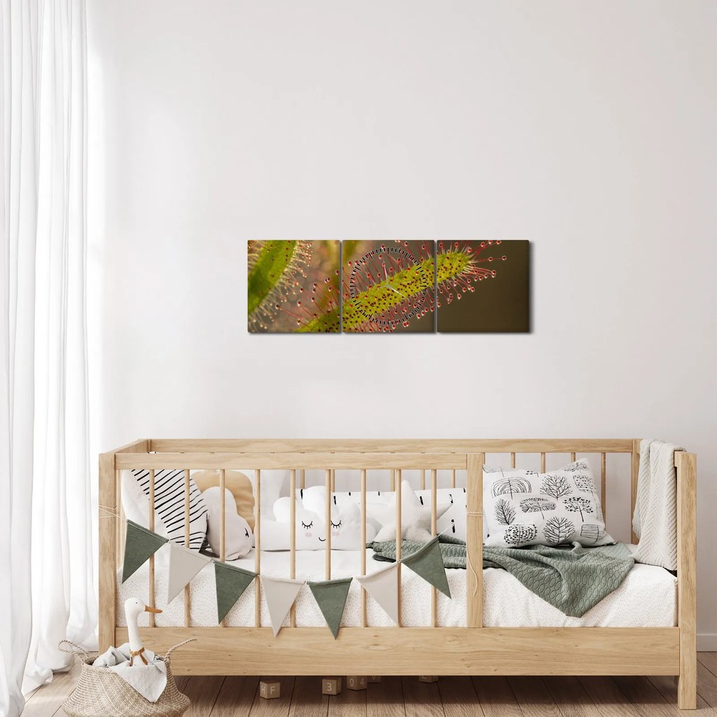 A növény képe (órával) (90x30 cm)
