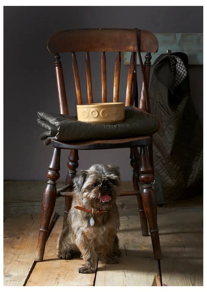 Pet Cane Dog agyagkerámia kutyatál, ø 25 cm - Mason Cash