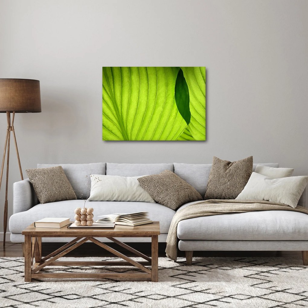 Kép - Zöld levél részlete (70x50 cm)