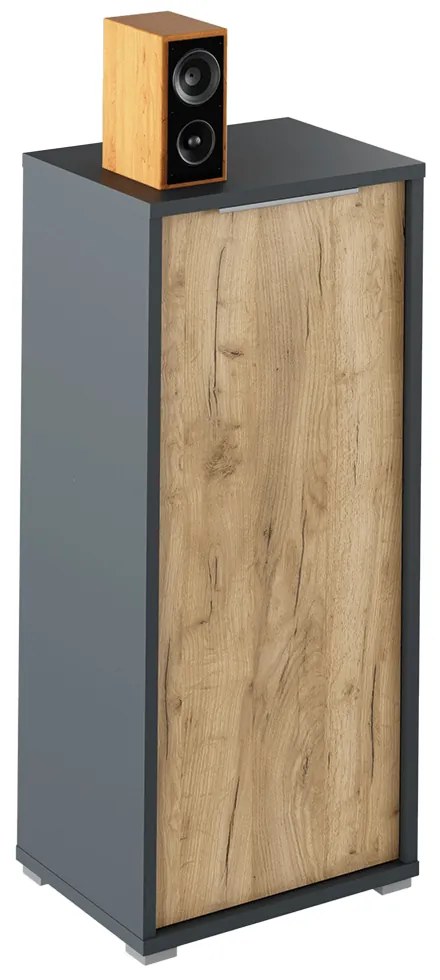 Szekrény Hamila NEW TYP 10 (grafit + artrisan tölgy). 1028767