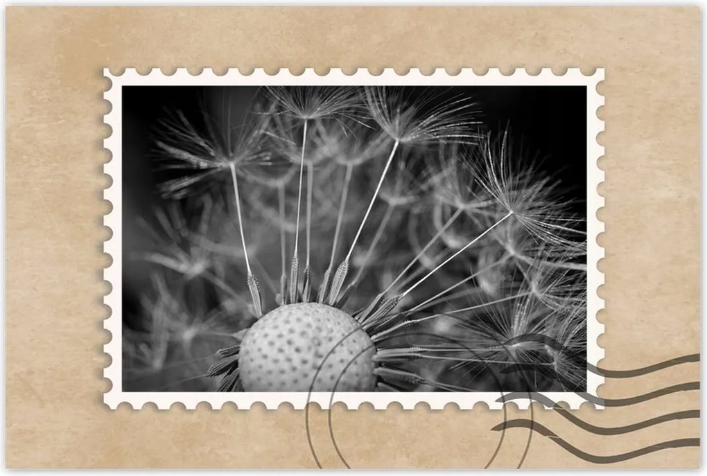 Poszterek 120x80 Pitypang Virág Virágok