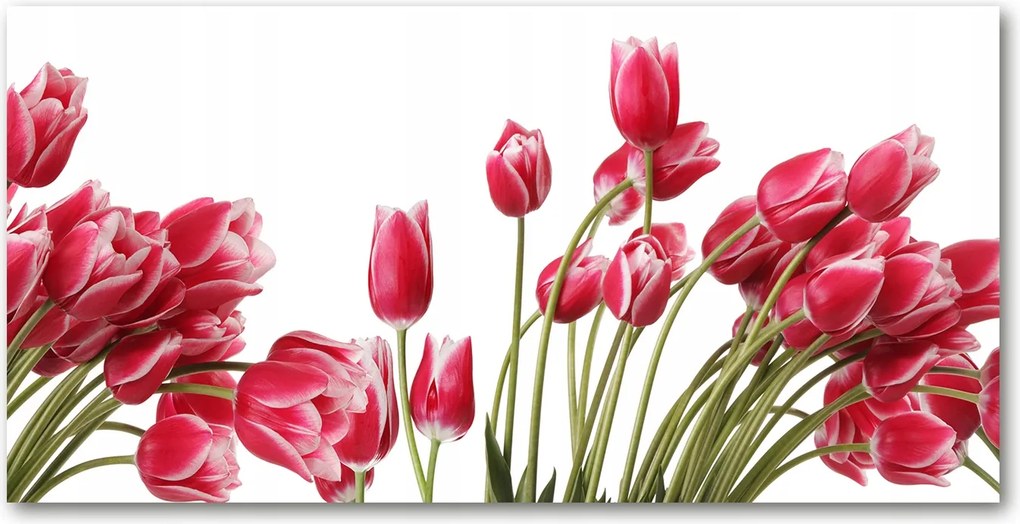 Fotó üvegkép Vörös tulipánok 140x70