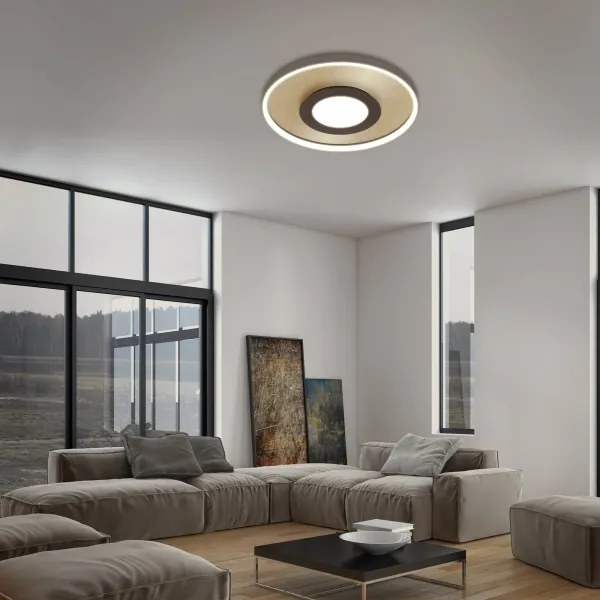 Briloner 3640017 - LED állítható mennyezeti lámpa LED/25W/230V 2700-6500K + DO