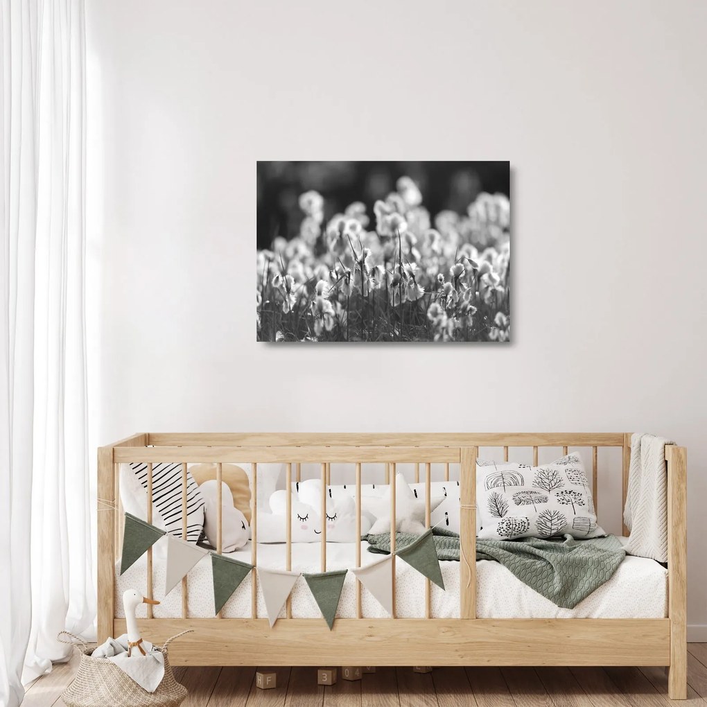 Üveg kép - Nyári rét (70x50 cm)