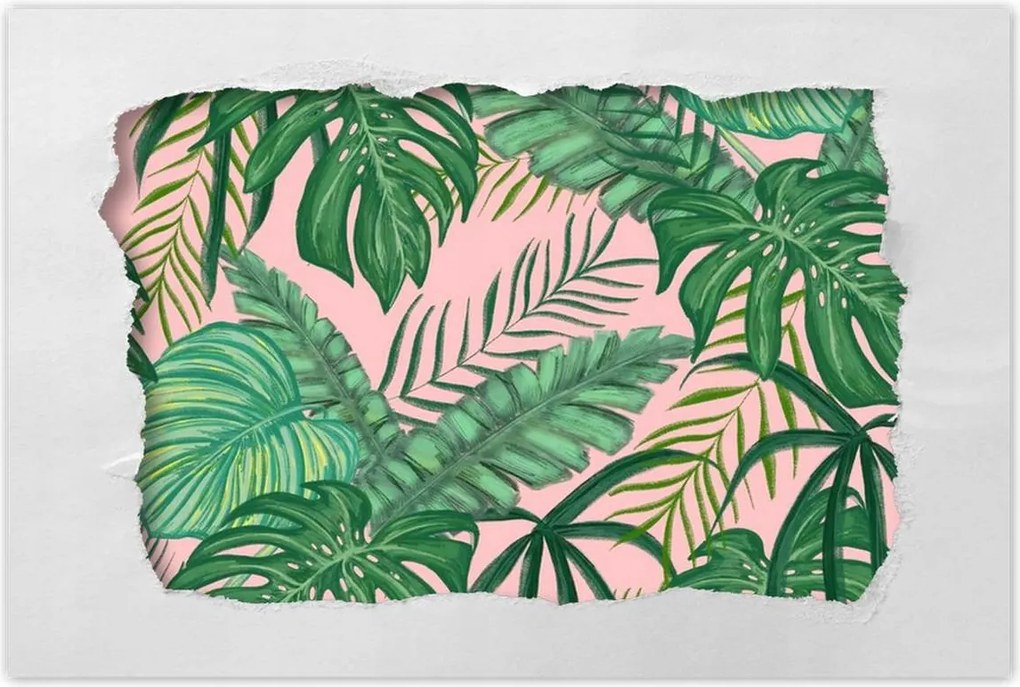 Poszterek 60x40 Házi dzsungel