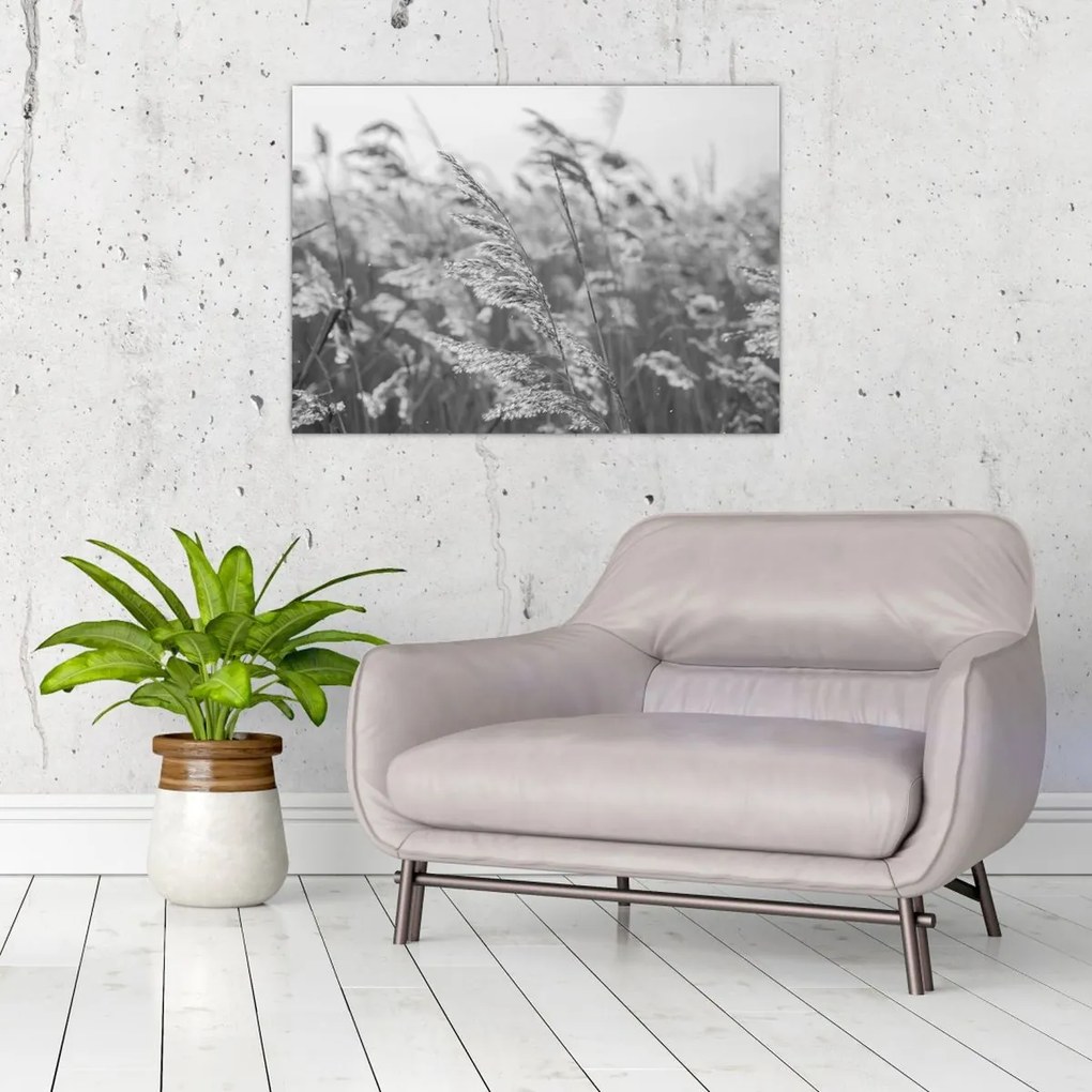 Üveg kép - Fű a szélben (70x50 cm)