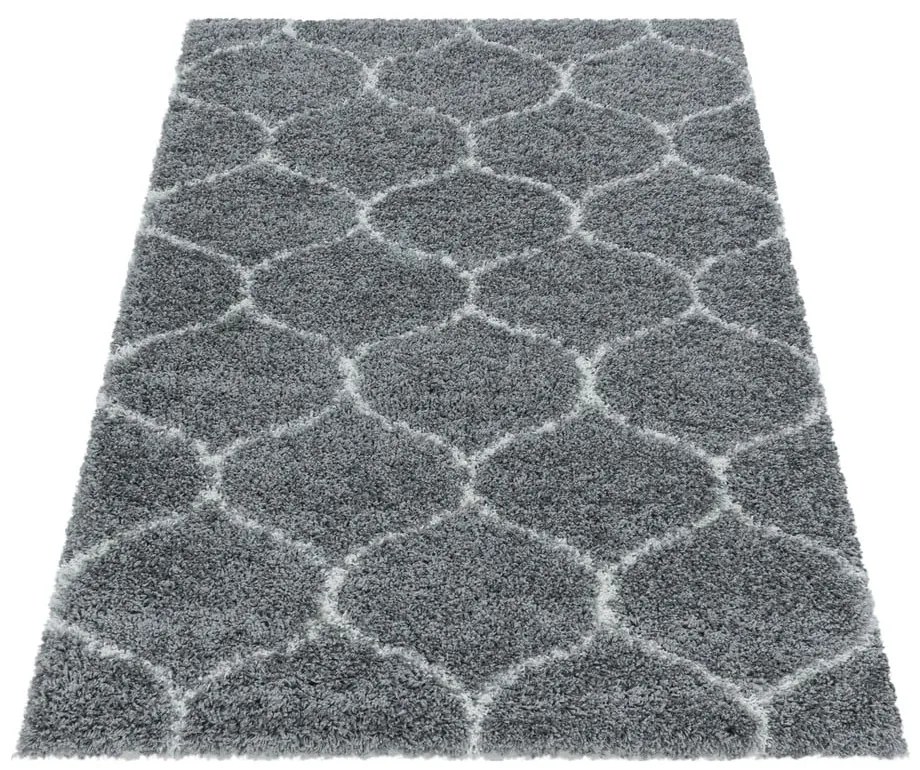 Szürke szőnyeg 160x230 cm Salsa – Ayyildiz Carpets