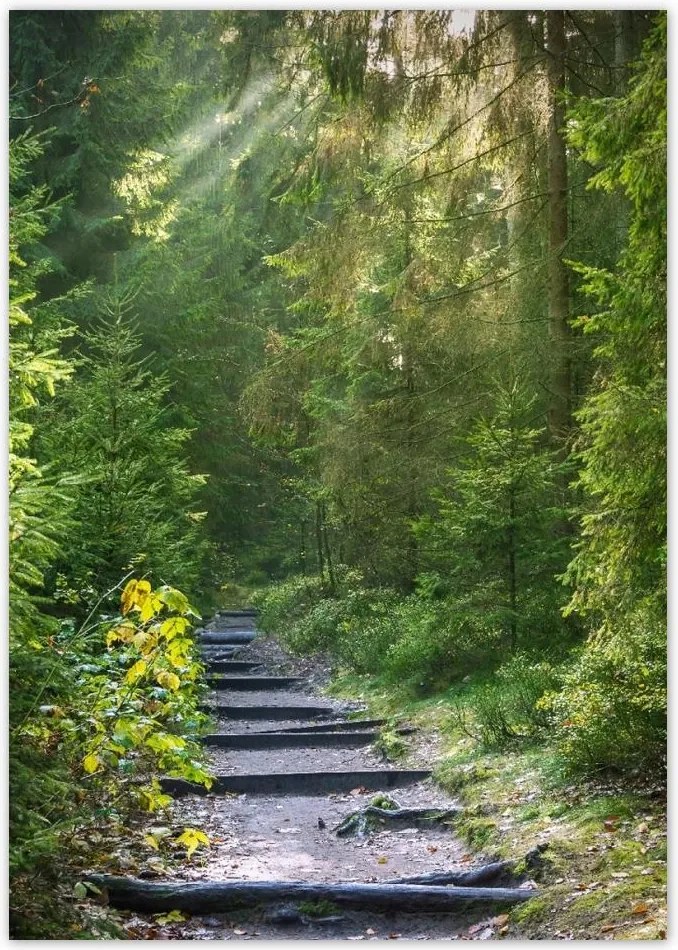 Poszterek A4 Pion Tájkép