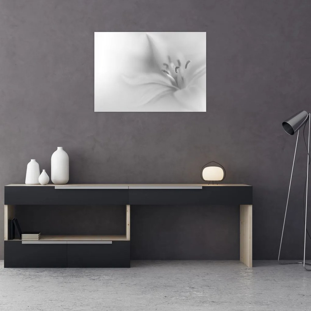 Kép - Delicate Lily (70x50 cm)