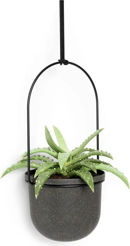 Műanyag kaspó szett 5 db-os fűszernövényekhez -függő ø 7,5 cm Triflora – Umbra