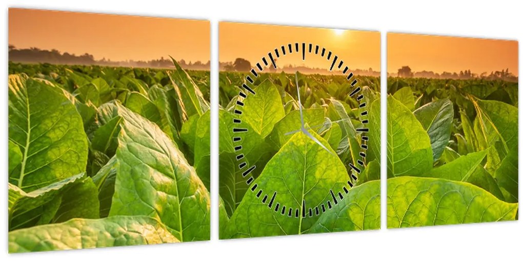 Kép - Mező (órával) (90x30 cm)