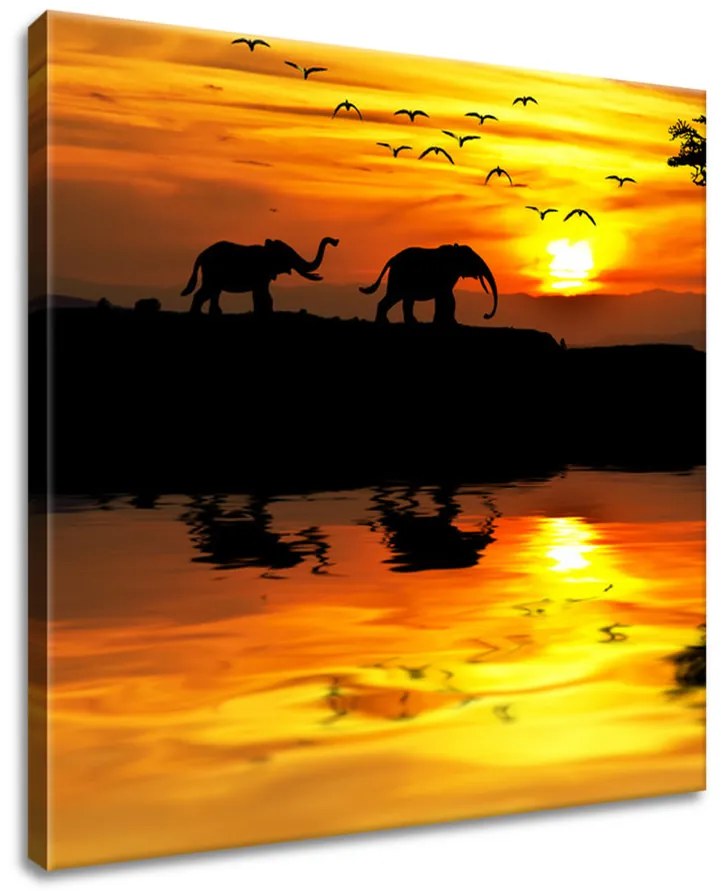 Gario Vászonkép Afrika Méret: 100 x 40 cm