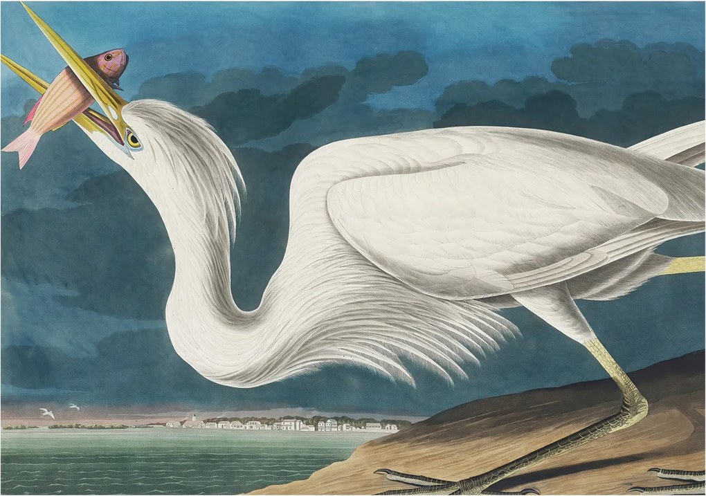 Flizelin fotótapéta Flizelin Design Madár halakkal 208x146 Ragasztó