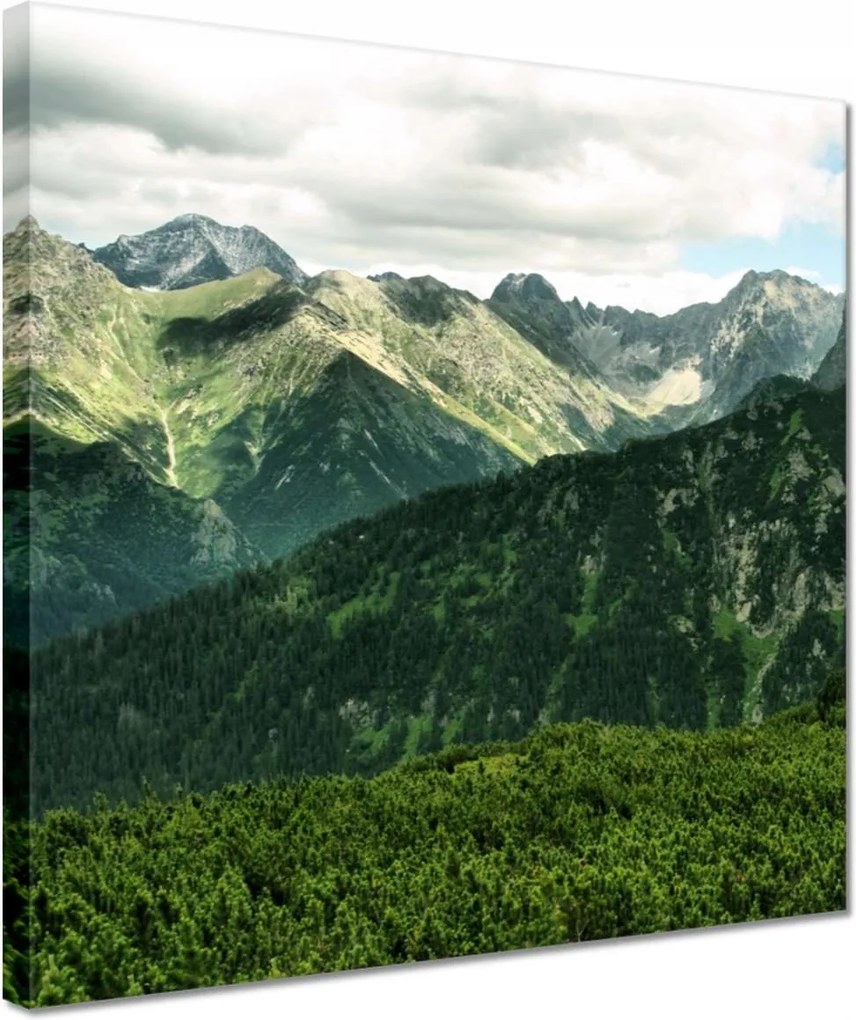 Vászonkép 30x30 Tátra Lengyel hegyek Kilátás