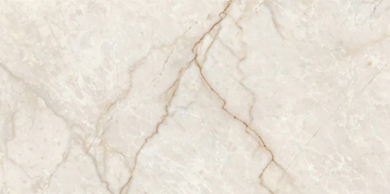 Granito Champagne Glossy 30x60